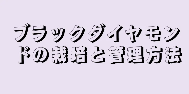 ブラックダイヤモンドの栽培と管理方法