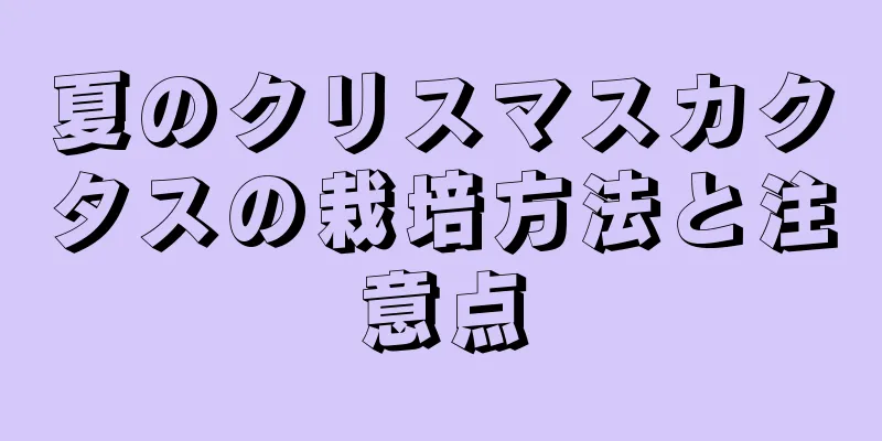 夏のクリスマスカクタスの栽培方法と注意点