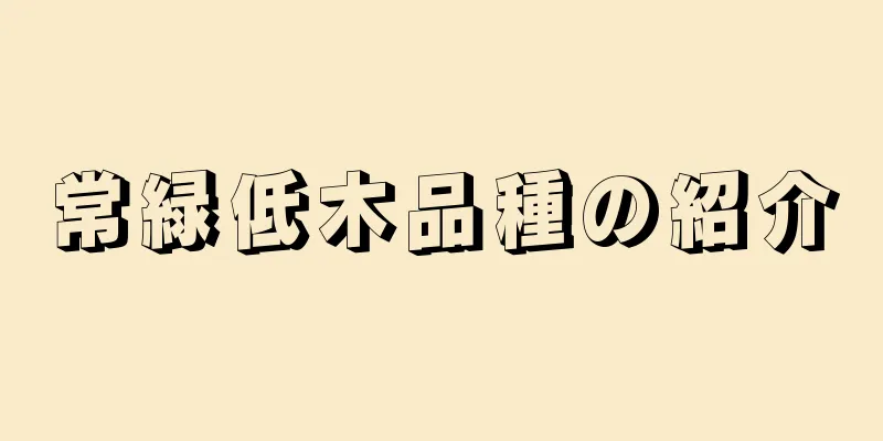 常緑低木品種の紹介