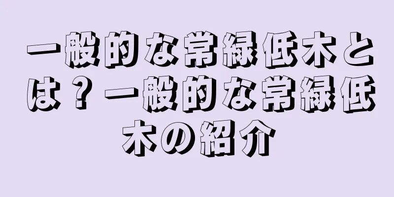 一般的な常緑低木とは？一般的な常緑低木の紹介