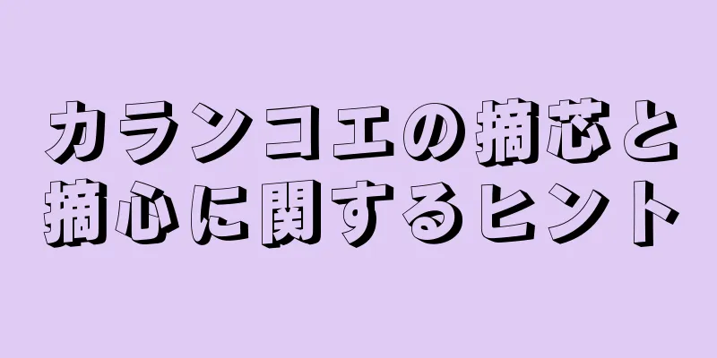 カランコエの摘芯と摘心に関するヒント
