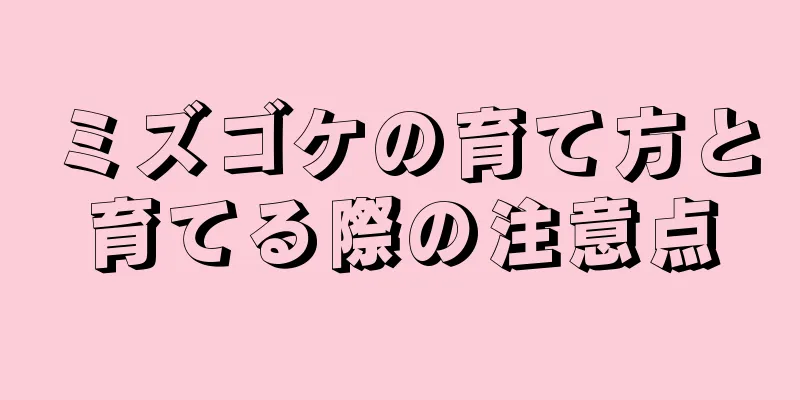 ミズゴケの育て方と育てる際の注意点