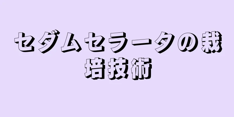 セダムセラータの栽培技術
