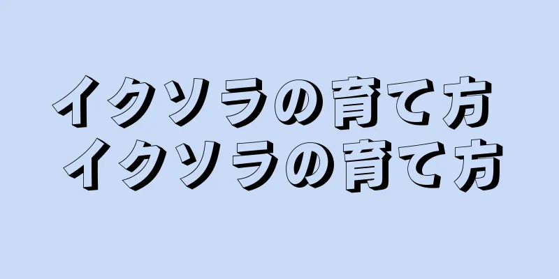 イクソラの育て方 イクソラの育て方