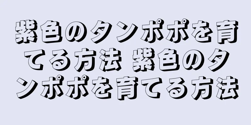 紫色のタンポポを育てる方法 紫色のタンポポを育てる方法