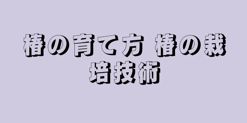 椿の育て方 椿の栽培技術