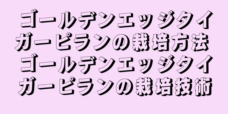 ゴールデンエッジタイガーピランの栽培方法 ゴールデンエッジタイガーピランの栽培技術
