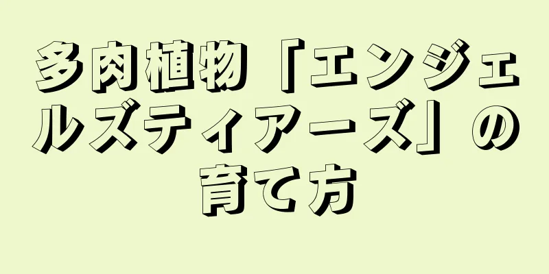 多肉植物「エンジェルズティアーズ」の育て方