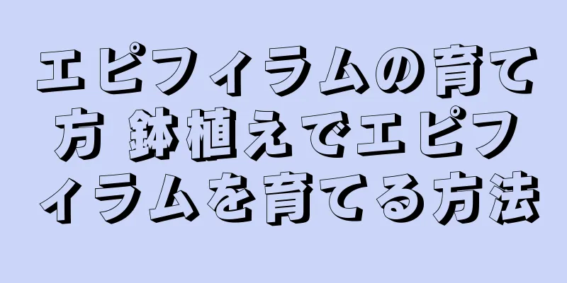 エピフィラムの育て方 鉢植えでエピフィラムを育てる方法