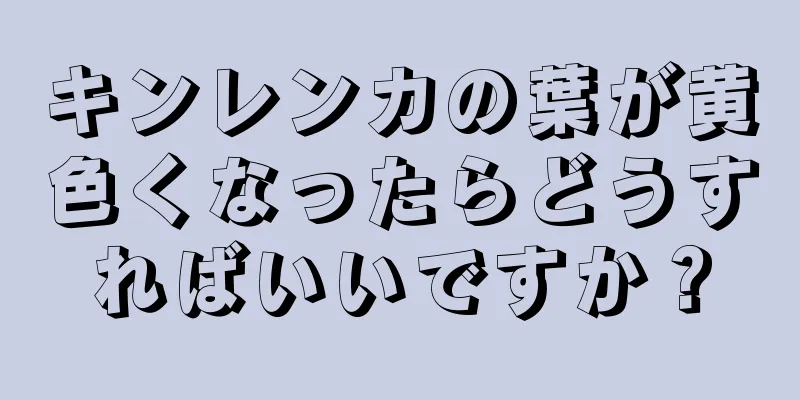キンレンカの葉が黄色くなったらどうすればいいですか？