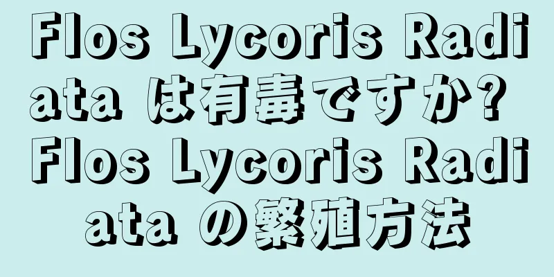 Flos Lycoris Radiata は有毒ですか? Flos Lycoris Radiata の繁殖方法