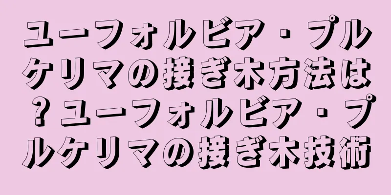 ユーフォルビア・プルケリマの接ぎ木方法は？ユーフォルビア・プルケリマの接ぎ木技術