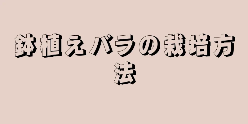 鉢植えバラの栽培方法