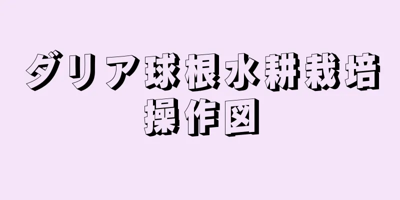 ダリア球根水耕栽培操作図