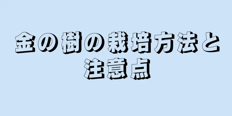 金の樹の栽培方法と注意点