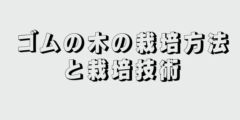 ゴムの木の栽培方法と栽培技術
