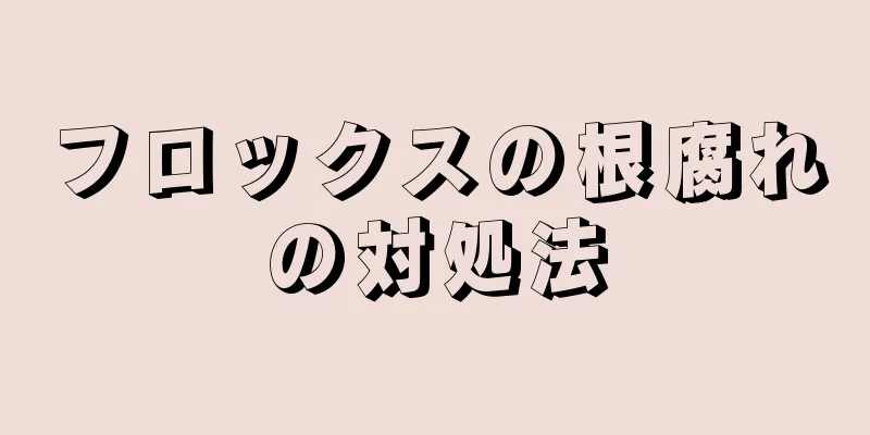フロックスの根腐れの対処法