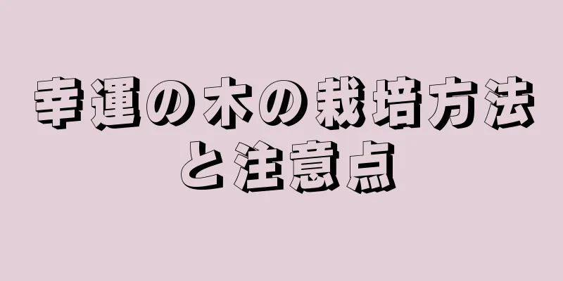 幸運の木の栽培方法と注意点