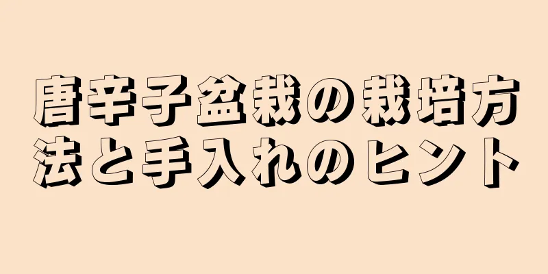 唐辛子盆栽の栽培方法と手入れのヒント