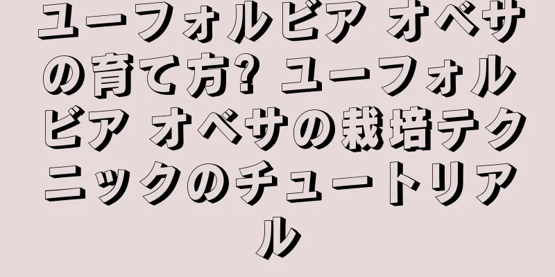 ユーフォルビア オベサの育て方? ユーフォルビア オベサの栽培テクニックのチュートリアル