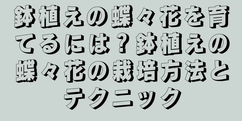 鉢植えの蝶々花を育てるには？鉢植えの蝶々花の栽培方法とテクニック