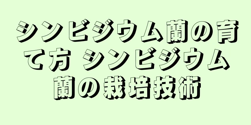 シンビジウム蘭の育て方 シンビジウム蘭の栽培技術