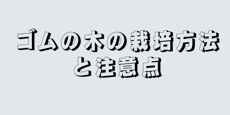 ゴムの木の栽培方法と注意点
