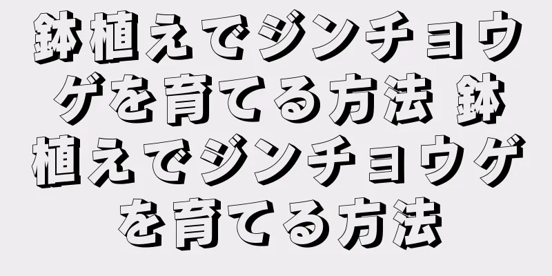鉢植えでジンチョウゲを育てる方法 鉢植えでジンチョウゲを育てる方法