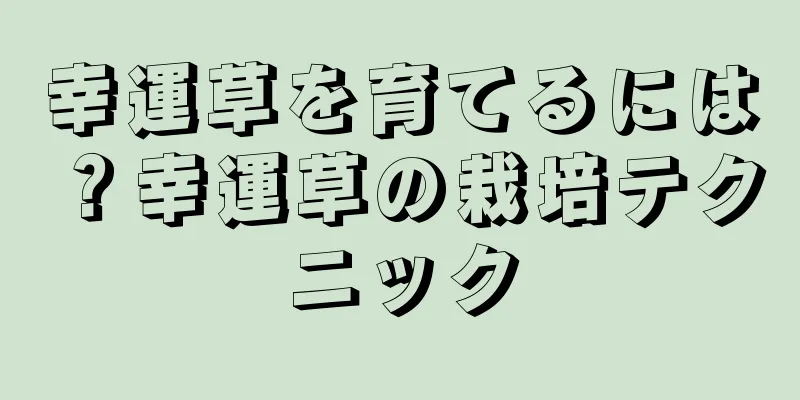 幸運草を育てるには？幸運草の栽培テクニック
