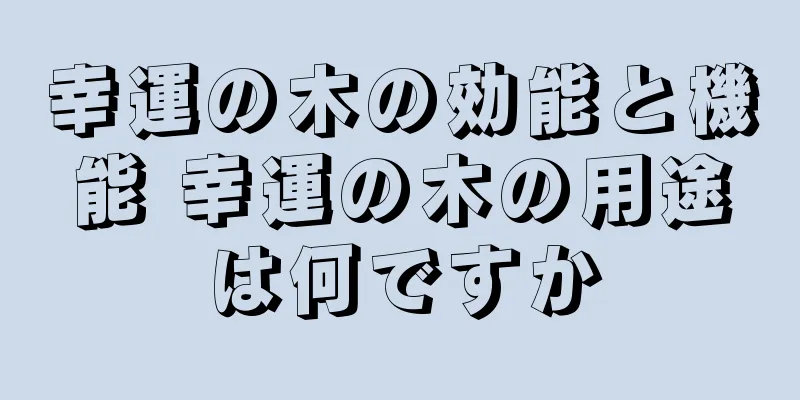幸運の木の効能と機能 幸運の木の用途は何ですか