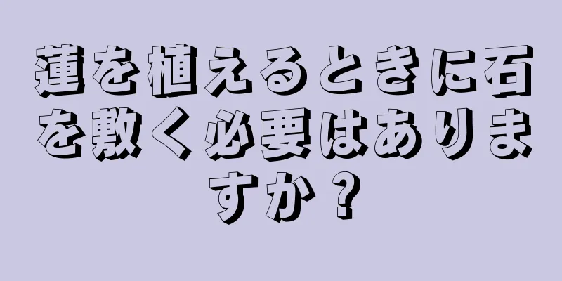 蓮を植えるときに石を敷く必要はありますか？
