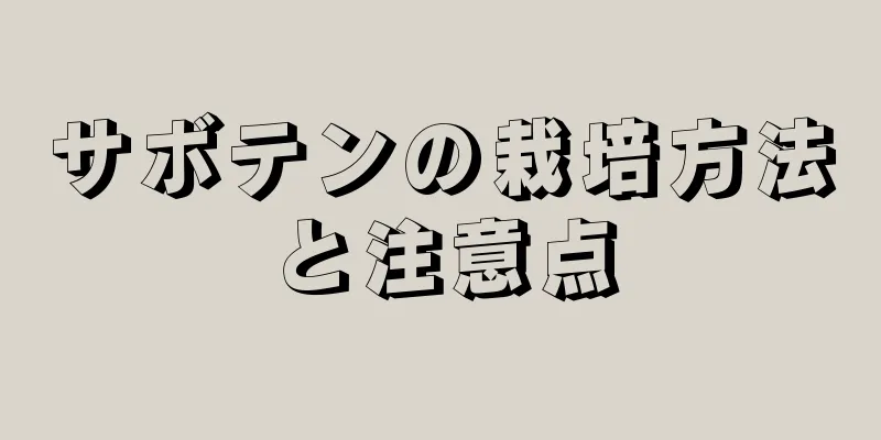 サボテンの栽培方法と注意点