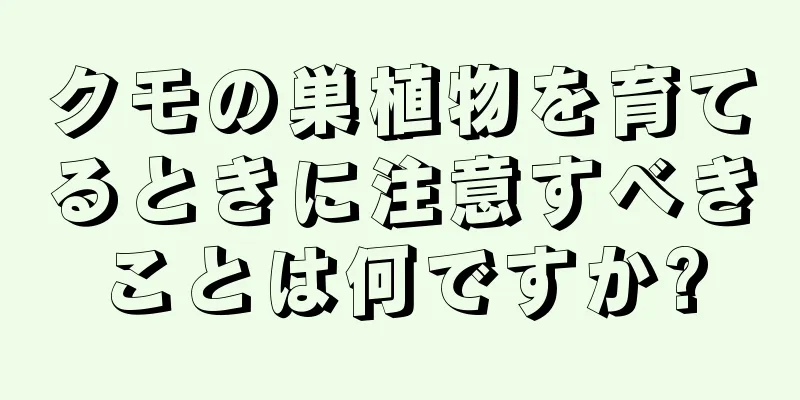 クモの巣植物を育てるときに注意すべきことは何ですか?