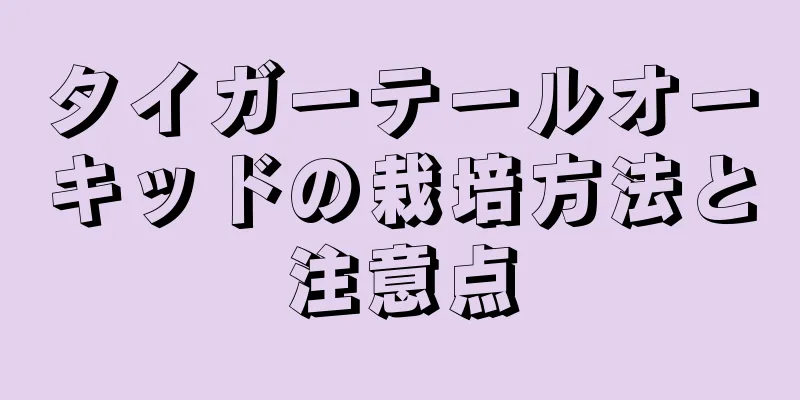タイガーテールオーキッドの栽培方法と注意点