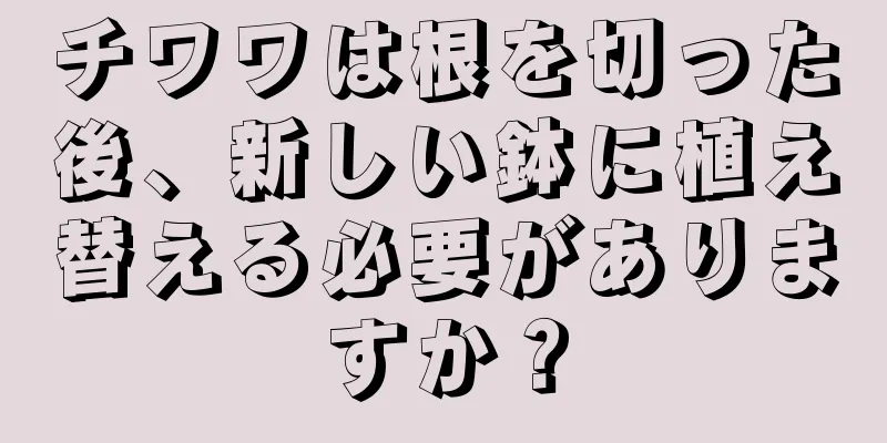 チワワは根を切った後、新しい鉢に植え替える必要がありますか？