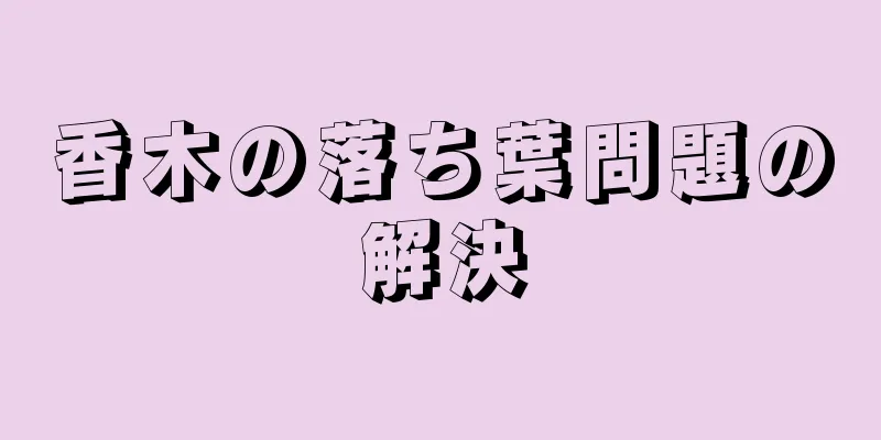 香木の落ち葉問題の解決