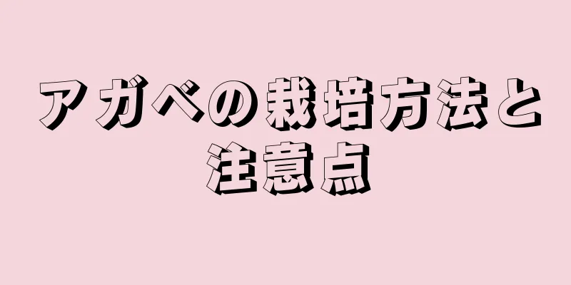 アガベの栽培方法と注意点