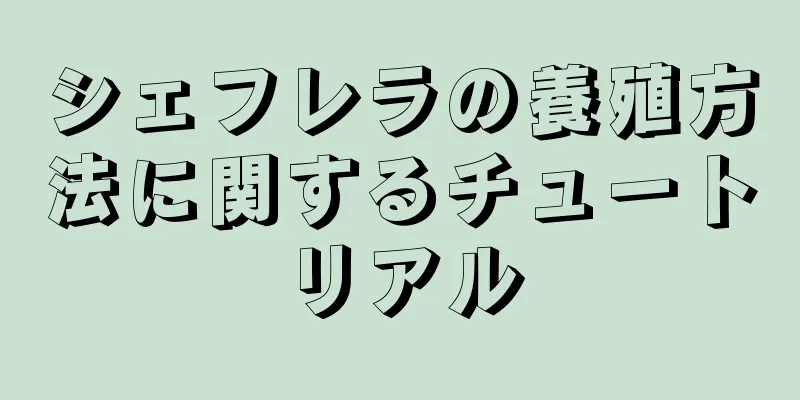 シェフレラの養殖方法に関するチュートリアル