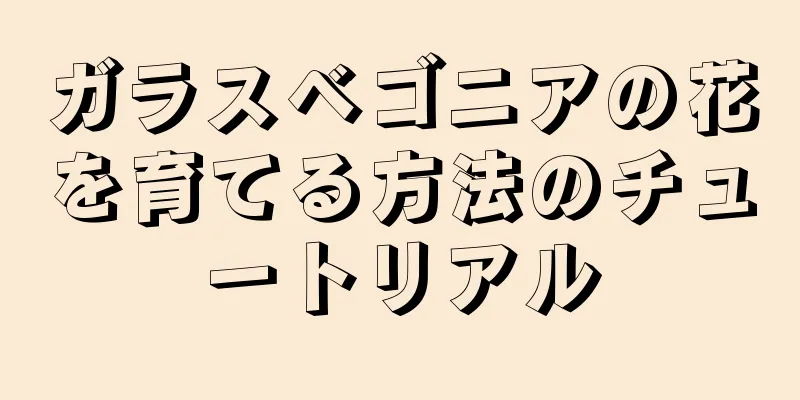 ガラスベゴニアの花を育てる方法のチュートリアル