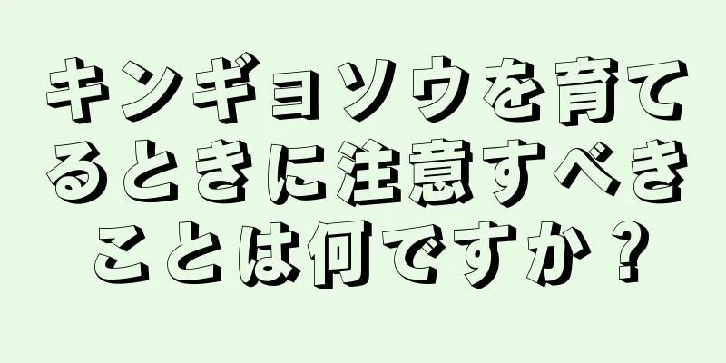 キンギョソウを育てるときに注意すべきことは何ですか？