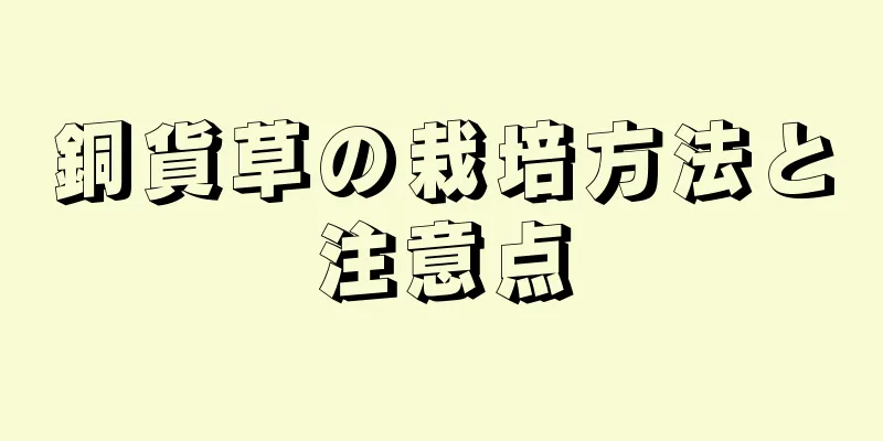 銅貨草の栽培方法と注意点