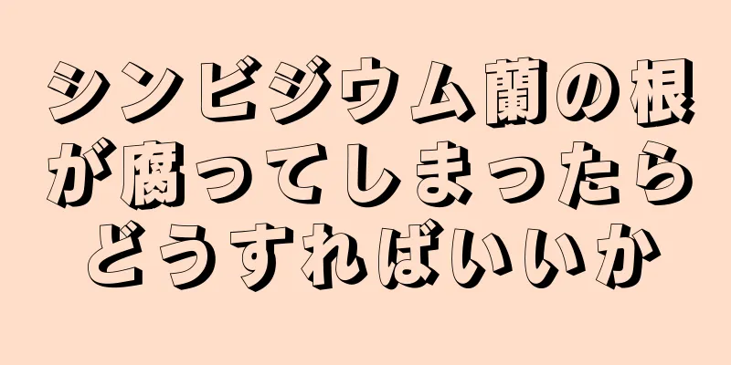 シンビジウム蘭の根が腐ってしまったらどうすればいいか