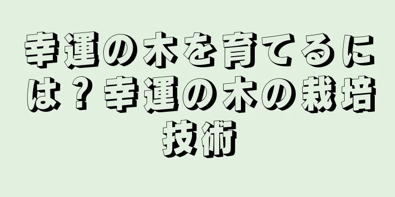 幸運の木を育てるには？幸運の木の栽培技術