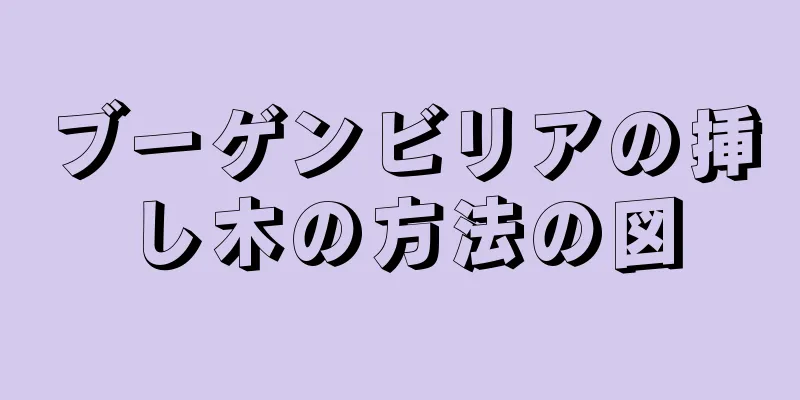 ブーゲンビリアの挿し木の方法の図