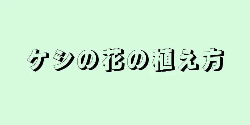 ケシの花の植え方