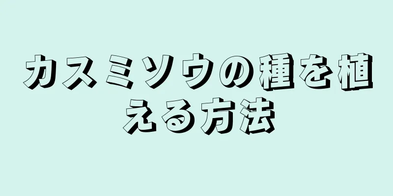カスミソウの種を植える方法