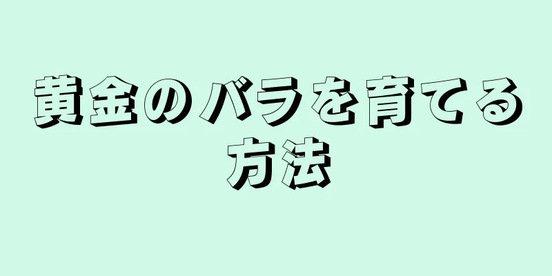 黄金のバラを育てる方法