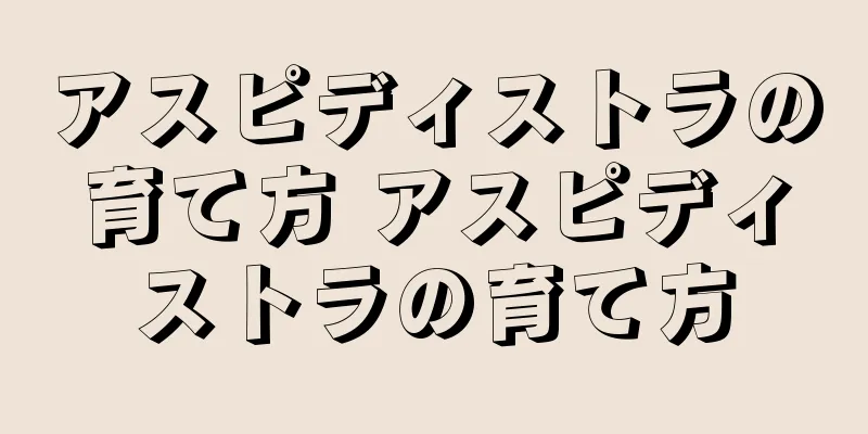 アスピディストラの育て方 アスピディストラの育て方