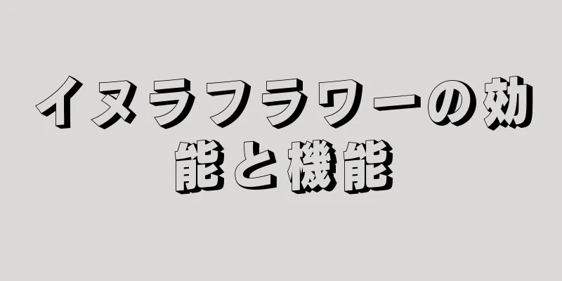 イヌラフラワーの効能と機能