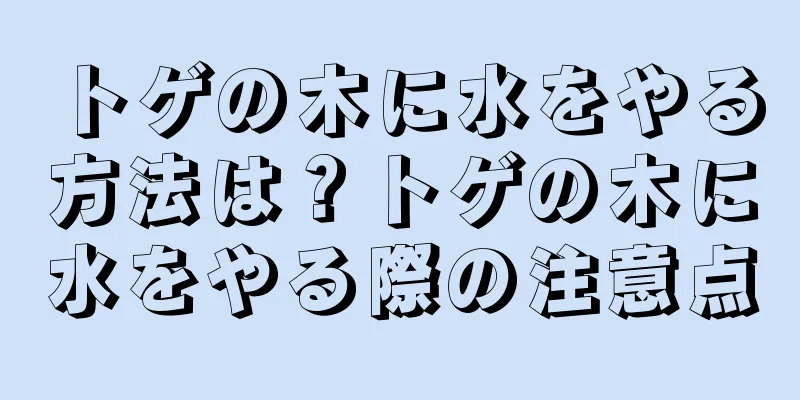 トゲの木に水をやる方法は？トゲの木に水をやる際の注意点